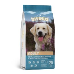Sucha karma Adult dla psów dorosłych 20kg Divinus