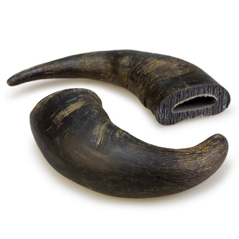 Duży róg bawoli 20 cm - 1 szt ARQUIVET Duży róg bawoli 20 cm - 1 szt ARQUIVET
