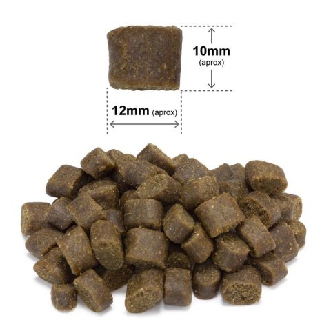 Półwilgotna karma dla psa kurczak i ryba oceaniczna 10 kg ARQUIVET FRESH Półwilgotna karma dla psa kurczak i ryba oceaniczna 10 kg ARQUIVET FRESH