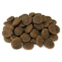 Sucha karma GRAIN FREE Indyk z warzywami 12 kg Arquivet