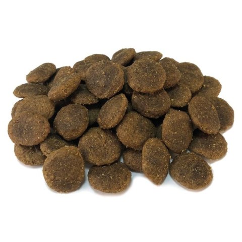 Sucha karma GRAIN FREE Indyk z warzywami 12 kg Arquivet Sucha karma GRAIN FREE Indyk z warzywami 12 kg Arquivet