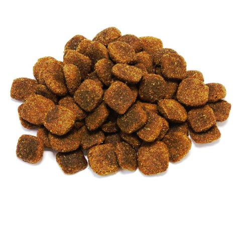 Original wieprzowina iberyjska 12 kg Arquivet Original wieprzowina iberyjska 12 kg Arquivet