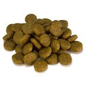 Sensitive łosoś z ziemniakami 3 kg Arquivet