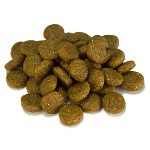 Sensitive łosoś z ziemniakami 3 kg Arquivet Sensitive łosoś z ziemniakami 3 kg Arquivet