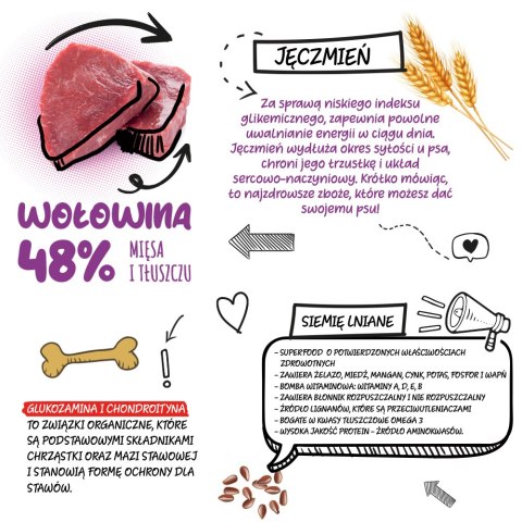 PRÓBKA karmy Barkitos wołowina z ryżem 100 g PRÓBKA karmy Barkitos wołowina z ryżem 100 g