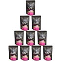 Rafi Cat saszetka indyk 10 x 100 g Dolina Noteci