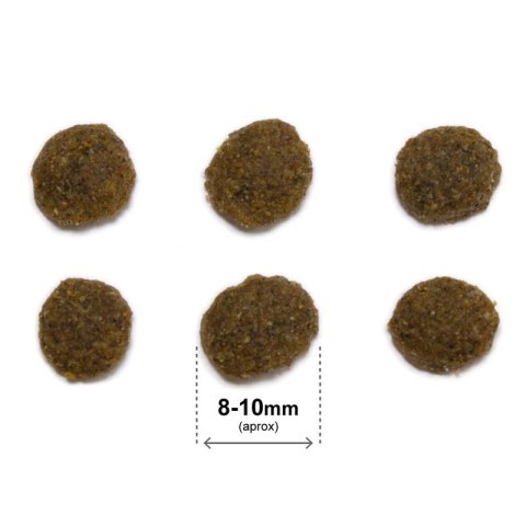 ARQUIVET CAT Original dla kotów sterylizowanych łosoś z ryżem 1,5 kg ARQUIVET CAT Original dla kotów sterylizowanych łosoś z ryżem 1,5 kg