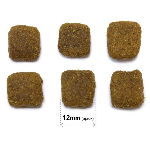 Original Adult jagnięcina z ryżem 20 kg Arquivet Original Adult jagnięcina z ryżem 20 kg Arquivet